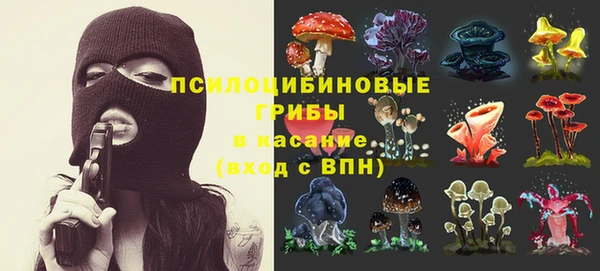а пвп мука Верхний Тагил